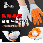 Hamster Rabbit Totoro Guinea Pigs Guinea Pig Anti-Bite Gloves Anti