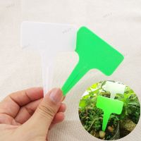 50pcs 10cm Plastic PVC Plant T Tags Labels Flower Pots  Waterproof Markers Herbs Garden Tools Supplies 17TH