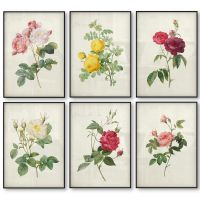 ◆₪ Botanical Rose ดอกไม้ Vintage โปสเตอร์พิมพ์สีแดงสีชมพูสีเหลืองสีขาว Rose ดอกไม้โบราณ Wall Art ภาพวาดผ้าใบตกแต่งบ้าน