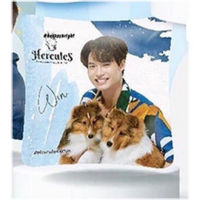 Win X Hercules Limited Edition Pillow หมอนอิงวิน หมอนวิน เมธวิน