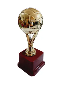 Shop Volleyball Trophy with great discounts and prices online