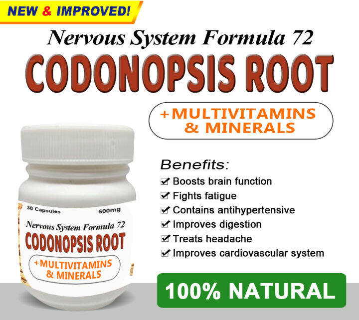 NERVOUS SYSTEM FORMULA 72 CODONOPSIS CAPSULES + Multivitamins