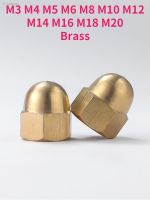 ☎ M3 M4 M5 M6 M8 M10 M12 M14 M16 M18 M20 Brass Cap Nuts Copper Decorative Dome Head Cover Semicircle Nut