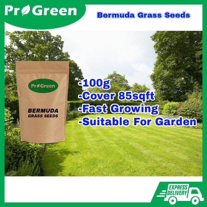 PROGREEN Premium Japanese Grass Seeds Cow Grass Bermuda Grass