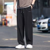 Paragraphs ice silk pants mens summer slacks ultra-thin anti-wrinkle straight trousers for mens summer quick-drying sports trousers