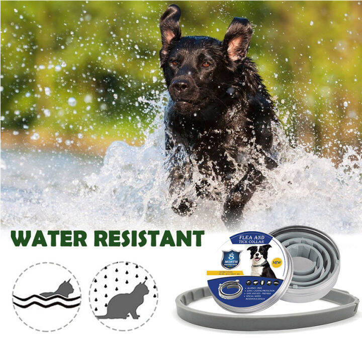【Local Warehouse】Dog Collar Mosquitoes Repellent Collar Insect Control