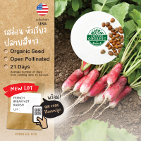 เมล็ดผักนำเข้า แรดิชฝรั่งเศส French Breakfast Radish (Organic Seed) หัวไชเท้าฝรั่ง ทรงเรียวยาว ปลายสีขาว