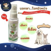 สเปรย์นาโน ไคโตซาน สูตรออริจินัล NaturePlus รักษาโรคผิวหนัง เชื้อรา ยีสต์ ขี้เรื้อน สำหรับน้องหมาน้องแมว ขนาด 30 ml.