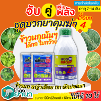 ? ชุดบวกยาคุม4 แซดสแตนด์+ดิสแบค ขนาด 1ลิตร+100กรัมx2ซอง กำจัดหญ้าข้าวนก หญ้าเดือย กก ผักปอดนา