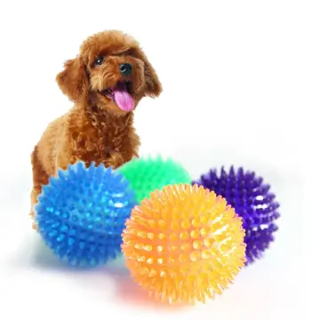 WeTest Dog Chew Ball Interactive Toys, Dog Cleans Teeth Training Balls on  Cotton Rope For Small