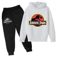 【CC】 Children Clothing Set 4-14 Y New Hoodie Cotton Jurassic Park Kids And Pant Two-piece Boys