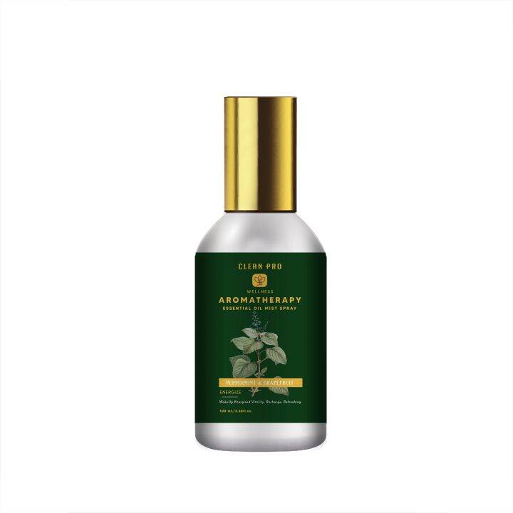 CLEAN PRO AROMATHERAPY ESSENTIAL OIL MIST SPRAY 100ML/ROLLER 10ML