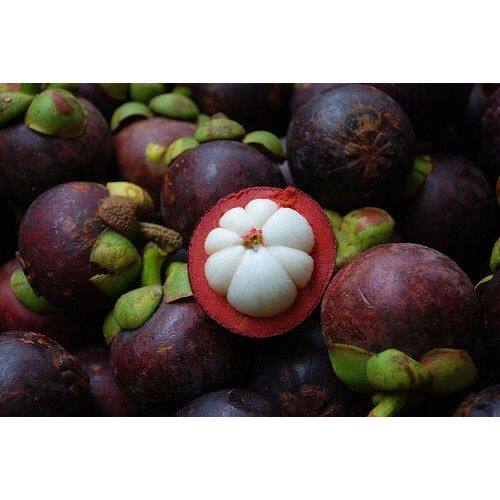 สารสกัดจากเปลือกมังคุด-mangosteen-475-mg-30-veggie-caps-thompson