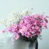 About 60-100pcs Flower Heads Natural Real Rhodes Dried Flower Bouquet Ludan Bird Flower Home Office Indoor Decor Photograph Prop