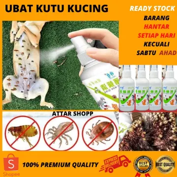 Shop Ubat Kutu Berkesan Online Jul 2022 Lazada Com My