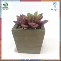 พืชปลอม Echeveria head (เฉพาะหัว ไม่รวมกระถาง) R-005 Bur ต้นไม้ปลอม สำหรับประดับตกแต่งสวนจิ๋ว สวนขวดแก้ว สวนถาด ยอดขายดีอันดับหนึ่ง