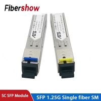 โมดูล Sfp ตัวต่อ Sc 1.25G Sc Bidi 1310nm/1550nm สวิตช์โมดูลตัวรับสัญญาณ Sfp Wdm พร้อมสวิตช์ที่มีฟังก์ชั่น Ddm