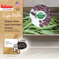 เมล็ดผักนำเข้า ถั่วพุ่ม ถั่วแขก ถั่วไร้ค้าง Bush Bean (Organic Seed)