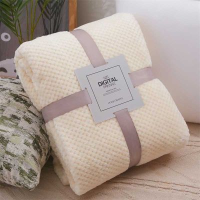 Home Textile polar microfiber large blanket cover the bed gift thick fleece throw sofa blanket small blanket for pet dropship