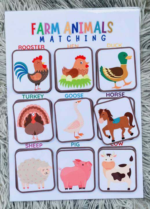 Laminated Velcro Activities For Kids Farm Animals 