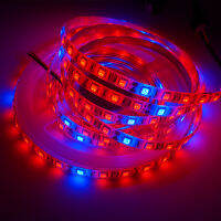 5mrolls DC12V 5050 Chip 300leds Led Strip for Plants Grow light led phyto lamp for Greenhouse Hydroponic plant 60ledsm Tape