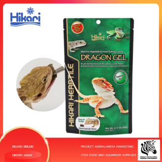 Reptile Food: Hikari DRAGON GEL 60g (EXP:SEPT 2023) for Bearded Dragons ...