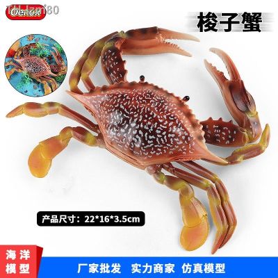 🎁 ของขวัญ Simulation model of large crab toy soldier king the horseshoe crabs Marine toys