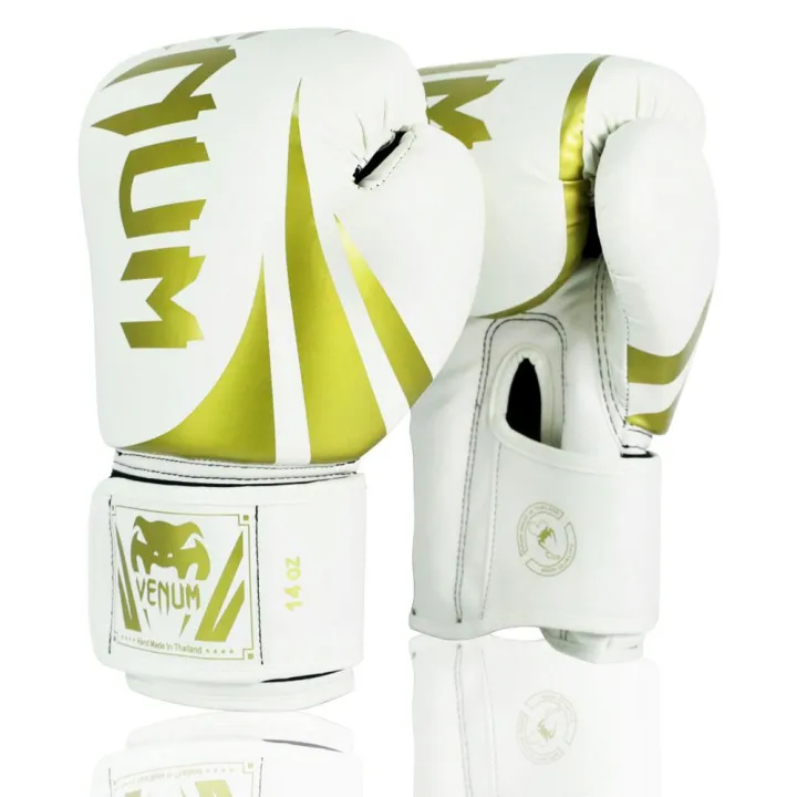 6 oz boxing gloves