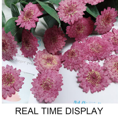 ภาพนูนแฮนด์เมด24ชิ้นกรอบดอกไม้นูนดอกเบญจมาศแห้งสีม่วงขนาดเล็กวัสดุเคสโทรศัพท์กาวแบบหยด