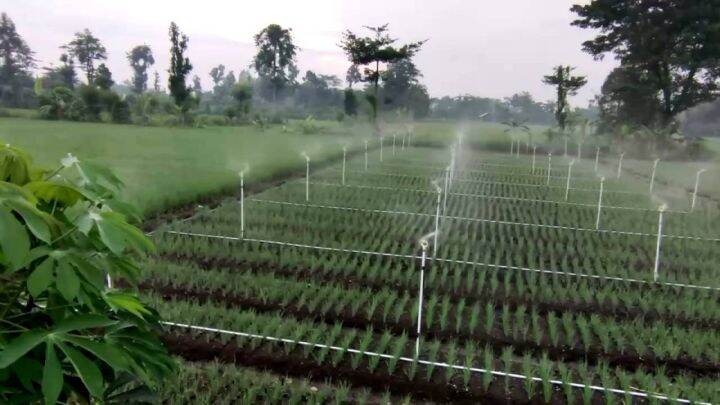 Pahlawan bagi Petani