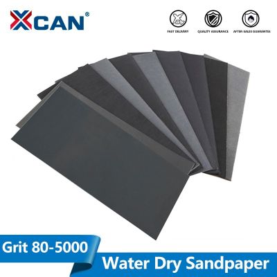 XCAN Water Dry Sandpaper 230x93mm(9x3.6 inch) Sanding Paper Grit 80-5000 Abrasive Sand Paper for Wood Metal Automotive Polish