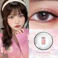 คอนแทคเลนส์ Roze Hydrogel รุ่น Dreamma Gray (สีเทา)