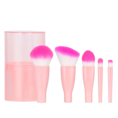 5pcsset Portable Makeup Brushes and tub mini make up Brush cosmetic Powder Foundation Contour Eye Shadow Nose Detail brush Tool