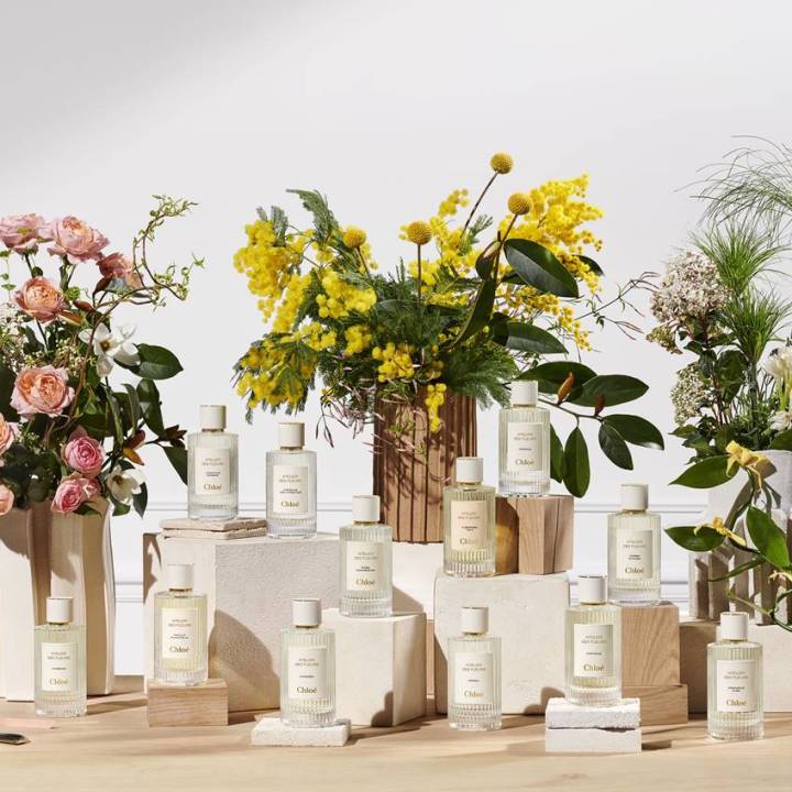 chlo-atelier-des-fleurs-herba-mimosa-eau-de-parfum-for-women-and-men-50-ml-กล่องขาย-ไม่ซีล