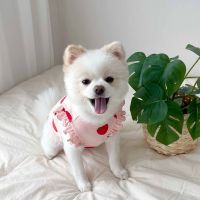 Summer Pet Dog Vest Strawberry Print Dogs Clothes Thin Pet Pullover Puppy Small Dog Breathable Knitting French Bulldog Chihuahua