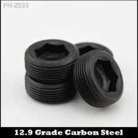 M14 M16 M14x1.5 M14x1.5 M16x1.5 M16x1.5 PG1.5 12.9 Grade Carbon Steel Pipe Oil Line Plug Throat Tap Hex Hexagon Socket Set Screw