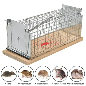 Plastic Mouse Trap Live Catcher Reusable Kids Pets Safe Pest Controller No  Kill Live Catcher Mice Rat Trap for Warehouse Indoor