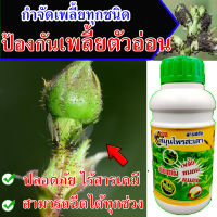 **ได้ผลดี** สารสกัด น้ำสะเดาแท้ 100% กำจัดเพลี้ย กำจัดหนอน กำจัดแมลง ปลอดภัย ไร้สารเคมี สารสกัดธรรมชาติ ยากำจัดตัวอ่อนเพลี้ย ยากันตัวอ่อนเพลี้ยแป้ง ยาแก้ตัวอ่อนเพลี้ยไฟ ยาฆ่าตัวอ่อนเพลี้ย ยาฉีดตัวเพลี้ยอ่อน ยากำจัดตัวอ่อนเพลี้ยแป้ง