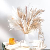 Home Decor Bouquets DIY Floral Arrangements Wedding Floral Arrangements Phragmites Artificial flowerss Dried Pampas Grass Bouquet