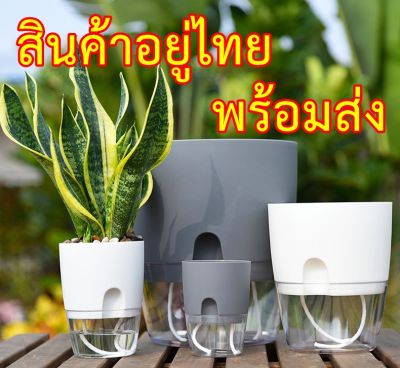 กระถางรดน้ำต้นไม้อัตโนมัติ กระถางต้นไม้2ชั้น ​เก็บ​น้ำ​ได้​รด​น้ำ​อัตโนมัติไม่ต้องรดนํ้า