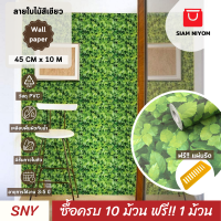 Siam Niyom สยามนิยม วอลเปเปอร์ติดผนัง ลายใบไม้สีเขียว วอลเปเปอร์ วอลเปเปอร์ผนัง wallpaper ติดผนัง wallpaper wallpaper ติดผนังปูน วอลเปเปอร์ ติด ผนัง