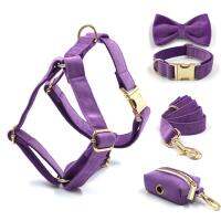 【LZ】 Purple Velvet Harness for Small Dogs Girl Personalized Name Soft Puppy Collar and Leash Set Adjustable Escape Proof Pet Harness