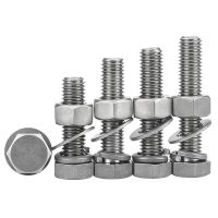 TA2 Pure Titanium Hex Bolt Metric Thread Hexagon Screw Nut Gasket Set Complete Spring Pad Combination M12 M14 M16 M18 M20