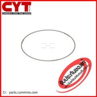 ชิมรองปลอก (020) KTA19  |  Liner Seal Ring   3088298