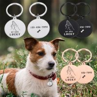 ✈ஐ Customized Dog Collar Identity Tag Puppy Harness Address Tags Dog Medal with Engraving Name Personalized Cat Collar Pet Supplies