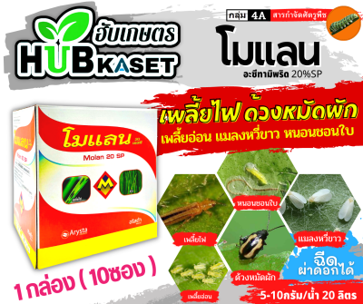 💥💥 สินค้ายกกล่อง 💥💥 โมแลน 100กรัม*10ซอง (อะซีทามิพริด) ใช้ป้องกันกำจัดเพลี้ยต่างๆ