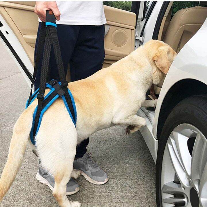JFDHGR Adjustable With Handle Walking Standing Help Weak Legs Back Legs