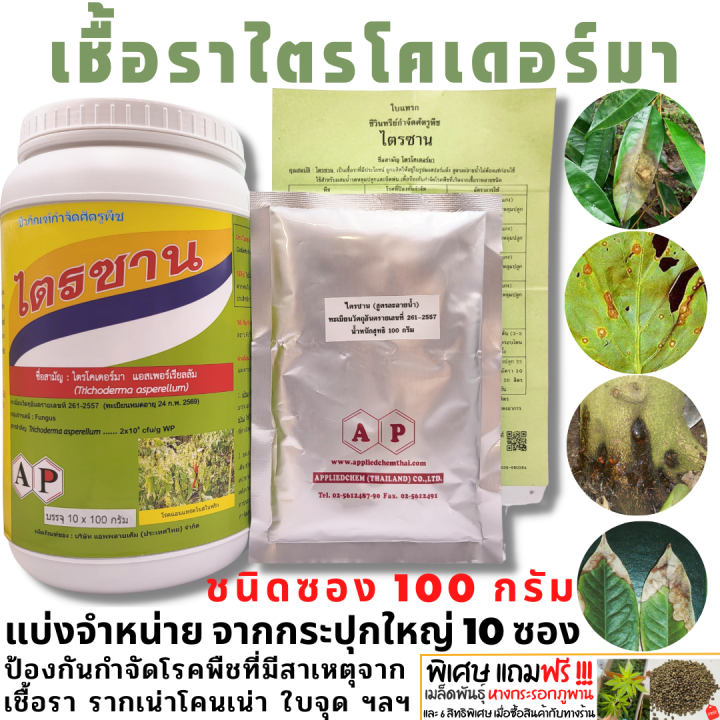 ไตรซาน-เชื้อไตรโคเดอร์มา-ประสิทธิภาพสูง-กำจัดโรคพืช-ราก-โคนเน่า-ใบจุด-ไหม้-กุ้งแห้ง-เน่าคอดิน-trichoderma