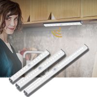 30/21cm DC 5V Rechargeable Power LED Kitchen Bar Light Infrared Motion Sensor Tube for Warbore Bedside Auto ON/OFF Night Lamps