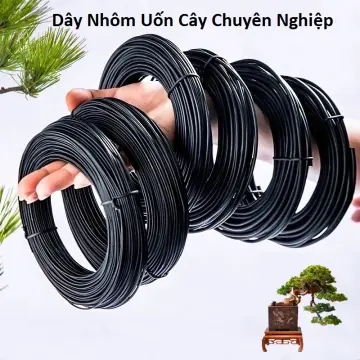 Mua Dây Thép Uốn Cây Cảnh